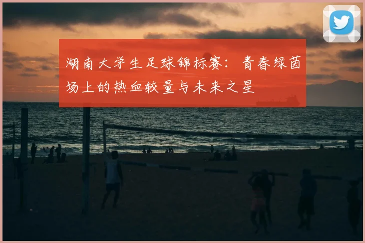 湖南大学生足球锦标赛：青春绿茵场上的热血较量与未来之星